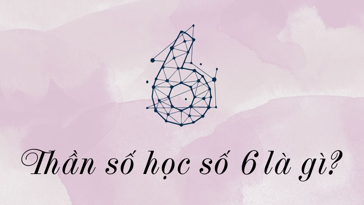 Thần Số Học Số 6