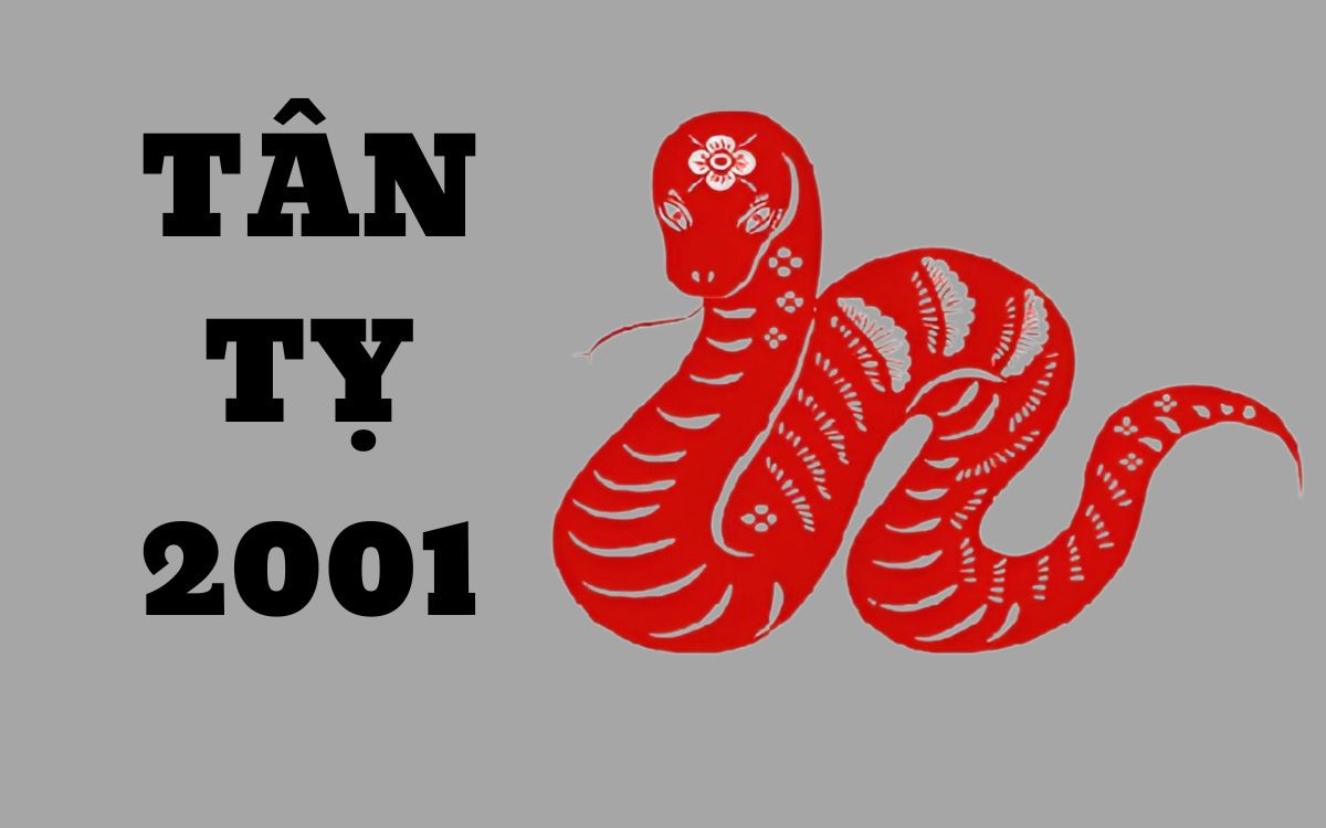 Tân Tỵ 2001